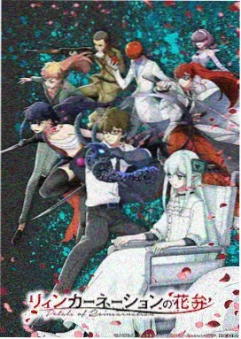 灵界回响 动漫番剧更新
